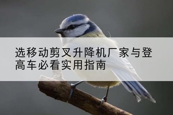 荆门电动升降机厂家-选移动剪叉升降机厂家与登高车必看实用指南