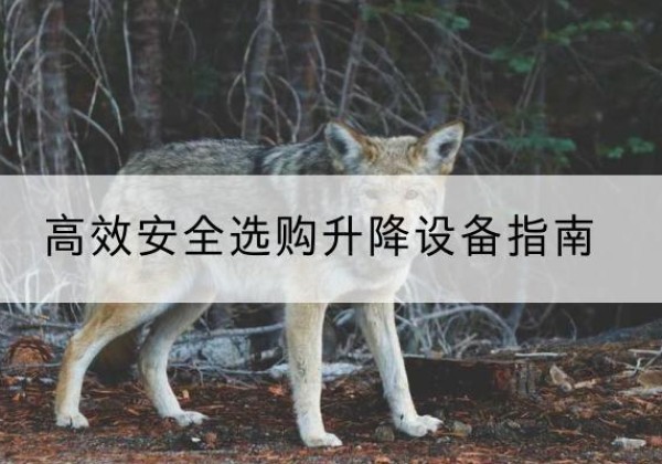 荆门升降货梯厂家推荐-*安全选购升降设备指南
