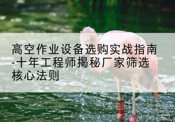 荆门剪叉式升降机厂家-高空作业设备选购实战指南-十年工程师揭秘厂家筛选核心法则